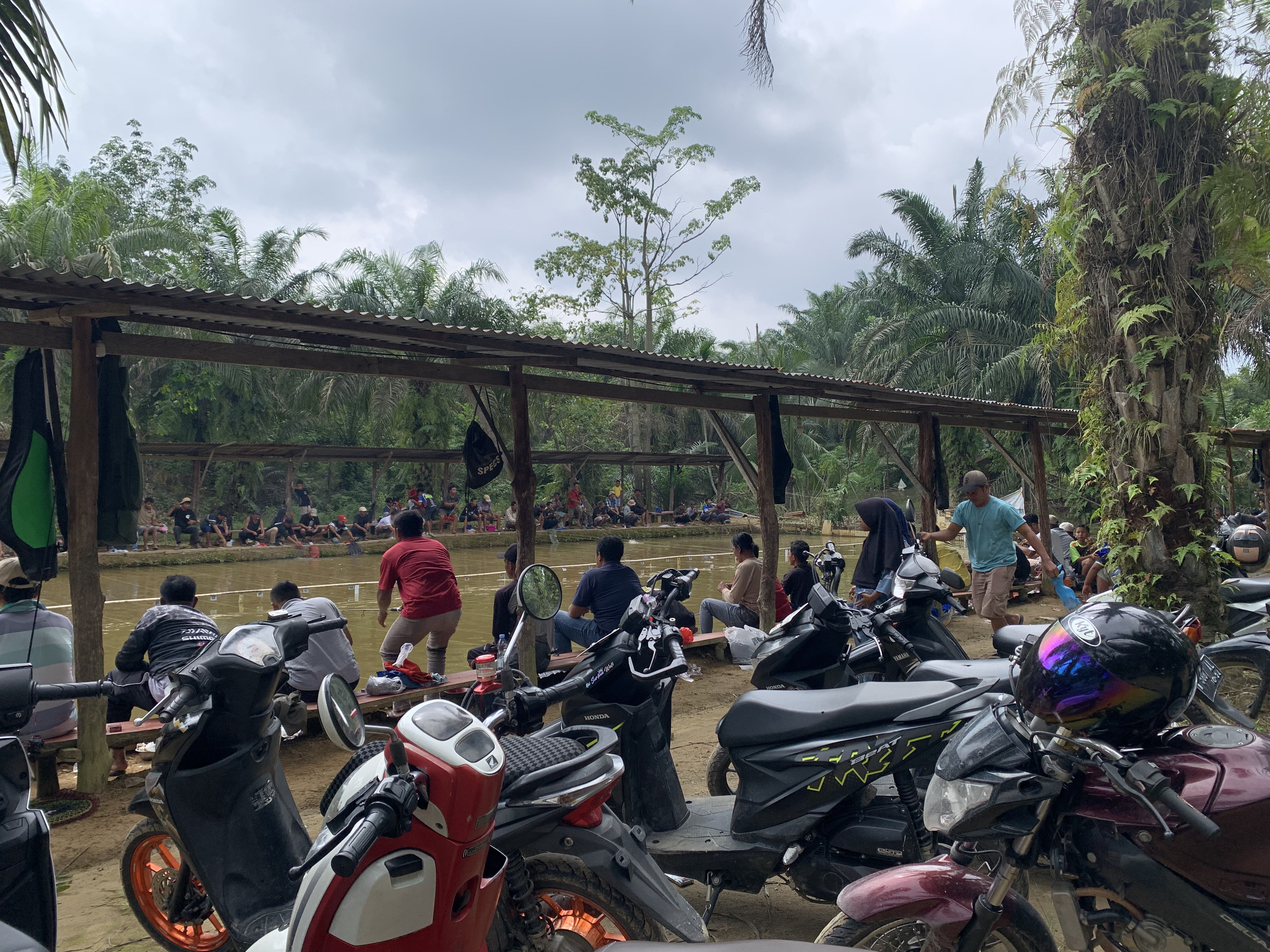Suasana Kolam Pemancingan