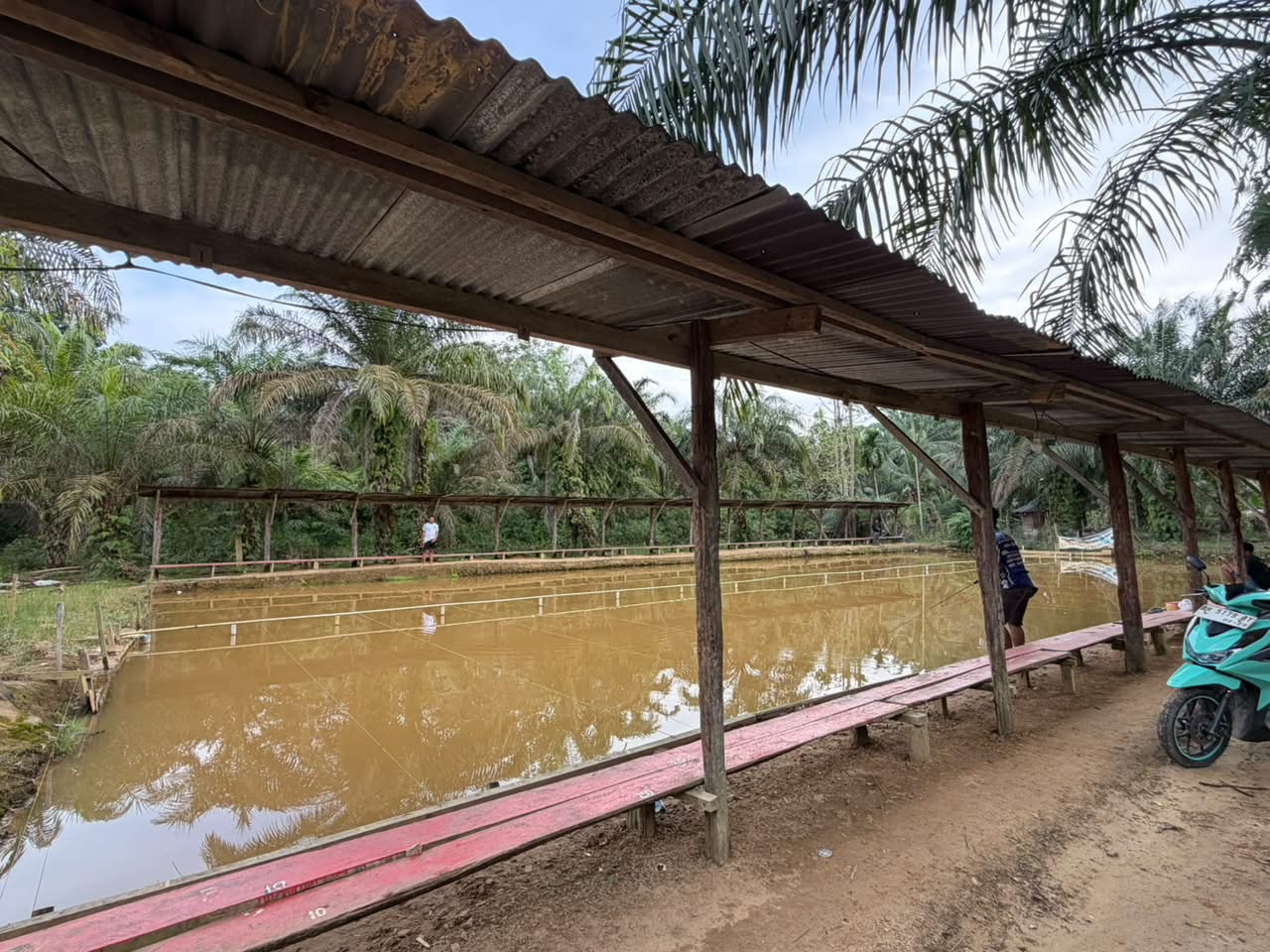Kolam Babon